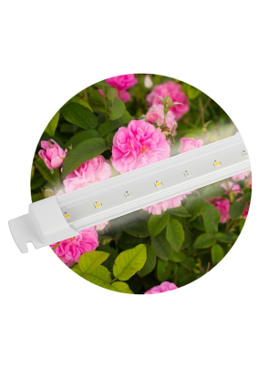 Светильник для растений Эра FITO 10W-Т5-Ra90-Slim п-с