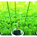 Опора для растений 45см Green Apple 3 кольца GFS-3-45