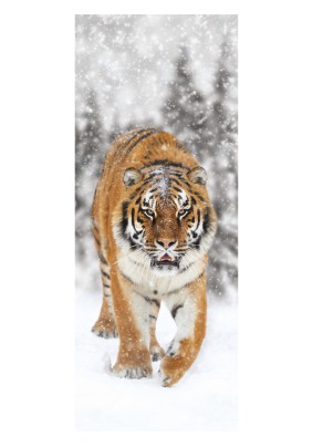 Канвас IDEA Амурский тигр 45 х115 СТ4-47 ПостерМаркет