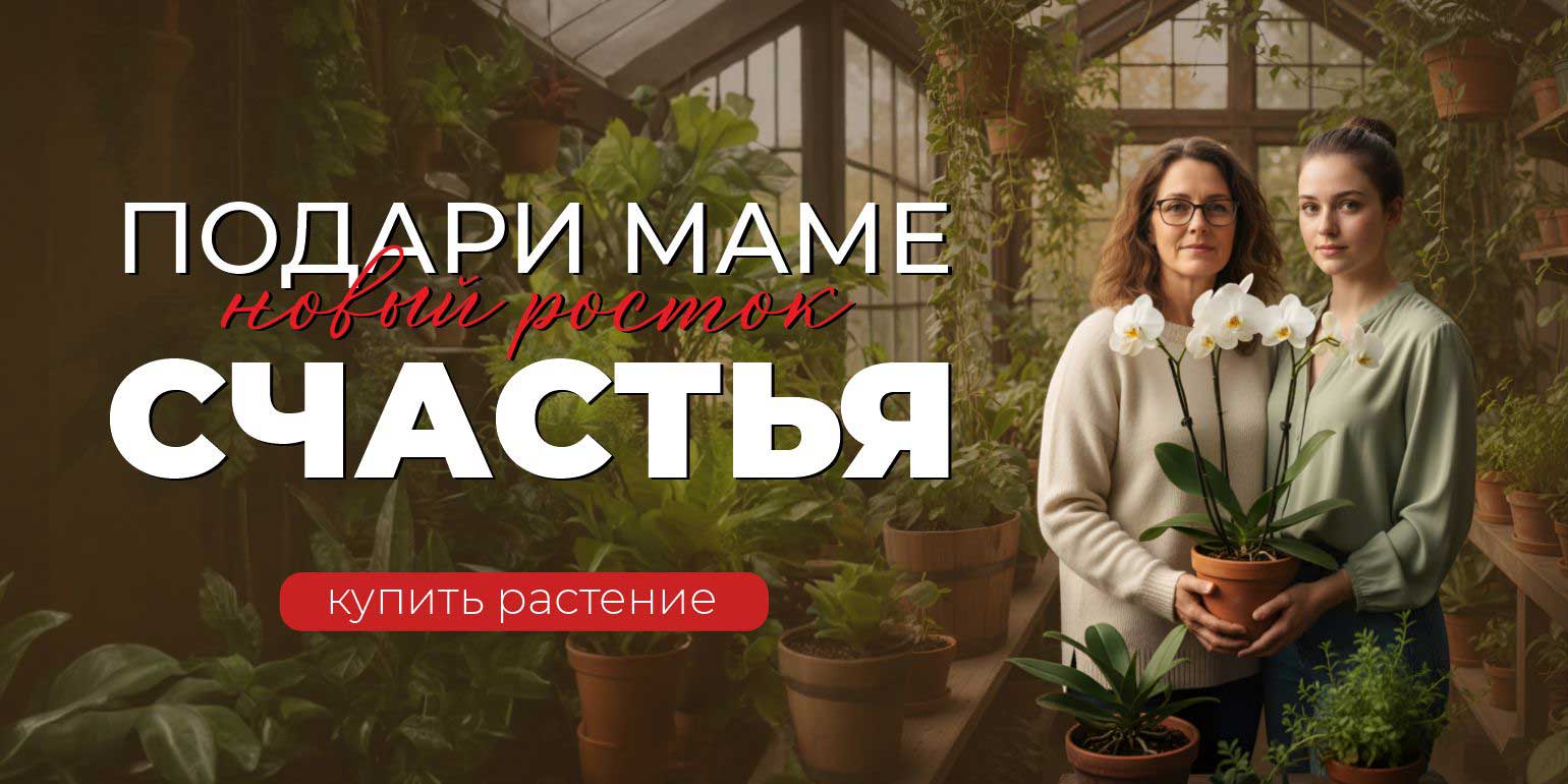 День матери!